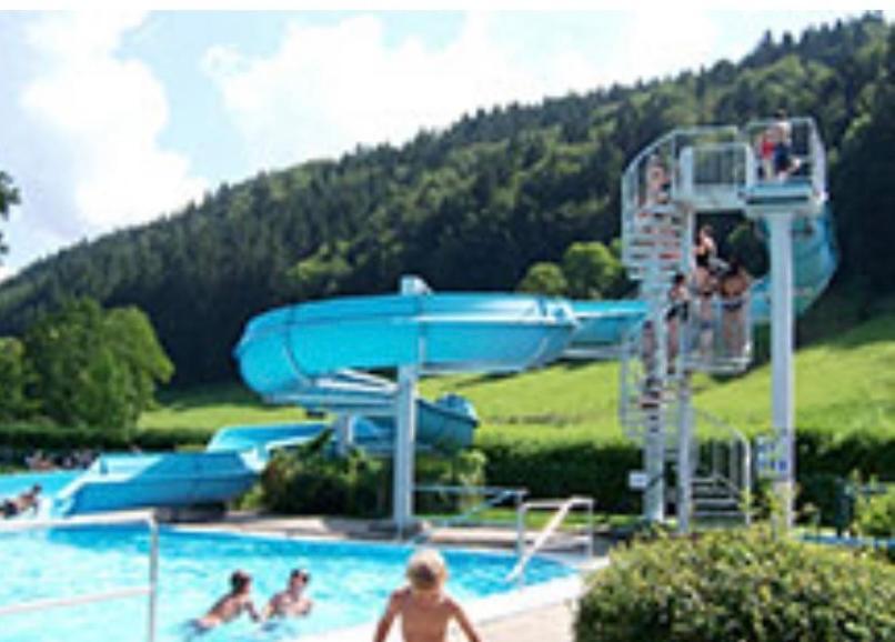 Fewo Alpenwiese Mit Hallenbad&Sauna Мисен-Вилхамс Екстериор снимка