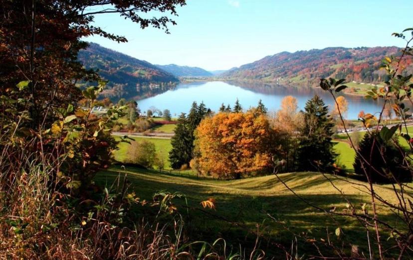 Fewo Alpenwiese Mit Hallenbad&Sauna Мисен-Вилхамс Екстериор снимка